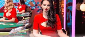 879 bet 879 bet
